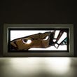 P5 Royal Skull Eyes LED Light Box