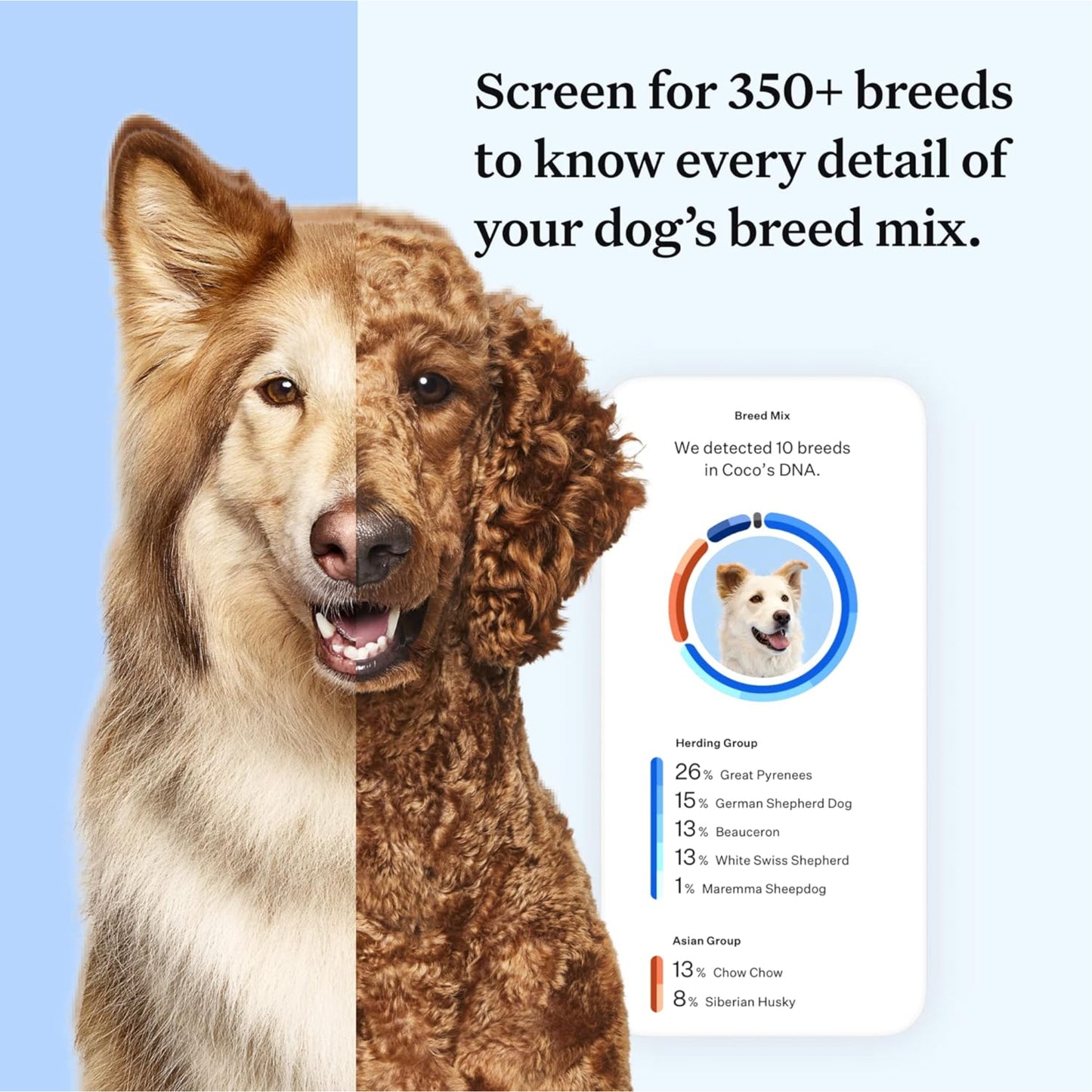 Wisdom Panel Essential Dog DNA Kit