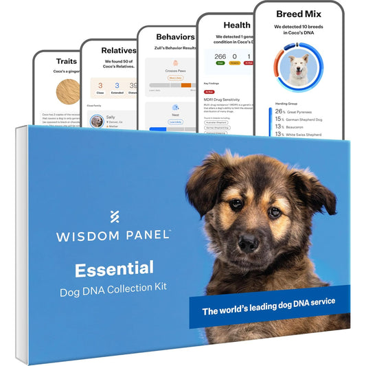 Wisdom Panel Essential Dog DNA Kit