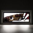 P5 Royal Oracle Eyes LED Light Box