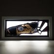 P5 Royal Fox Eyes LED Light Box