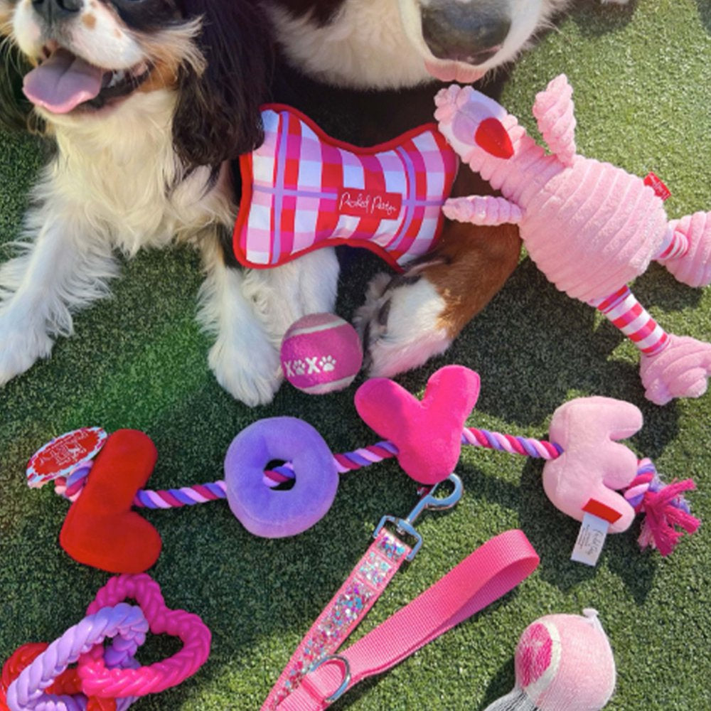 Dog Toy,  Valentines, Rope/Plush Love