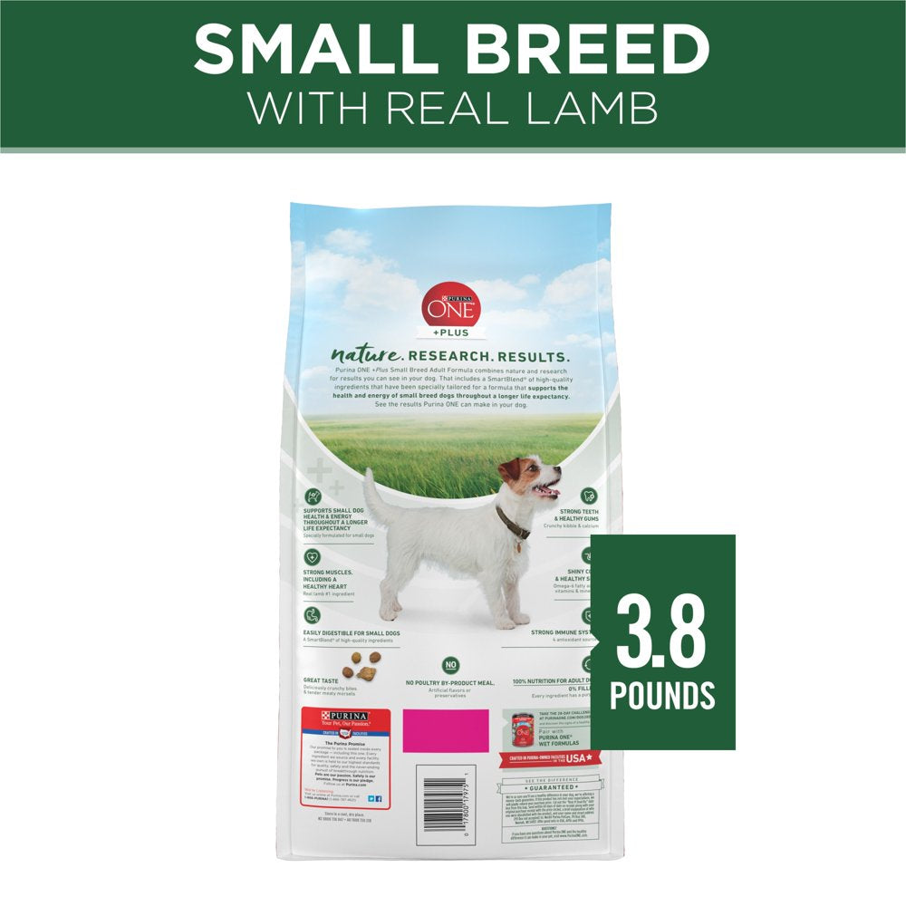 plus High Protein Adult Dry Dog Food for Small Breeds, Lamb and Rice Formula, 3.8 Lb Bag