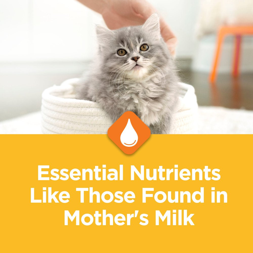 Purina Kitten Chow Dry Kitten Food, Nurture Muscle + Brain Development, 6.3 Lb. Bag