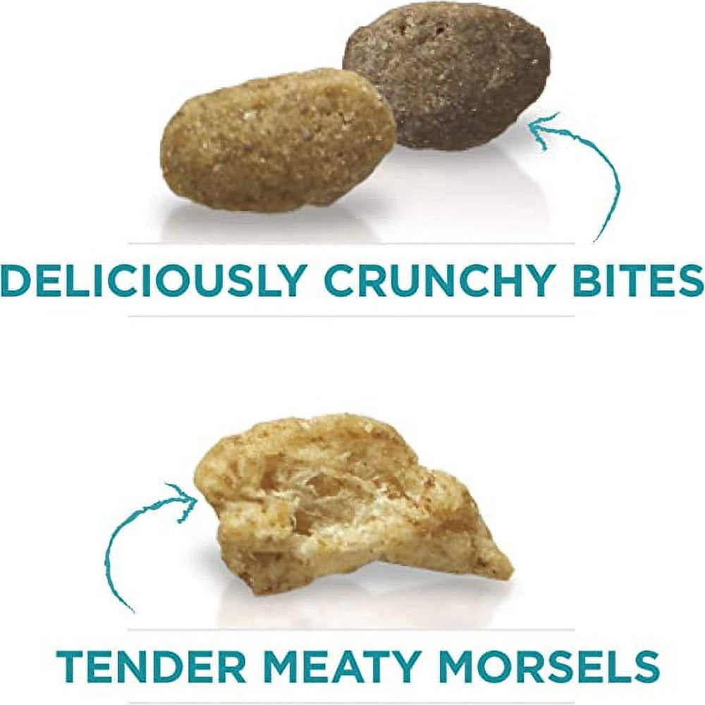 Tender Selects Blend Adult Dry Cat Food